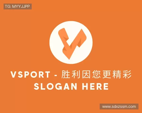 了解VSport